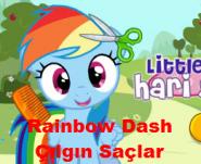Rainbow Dash Çılgın Saçlar